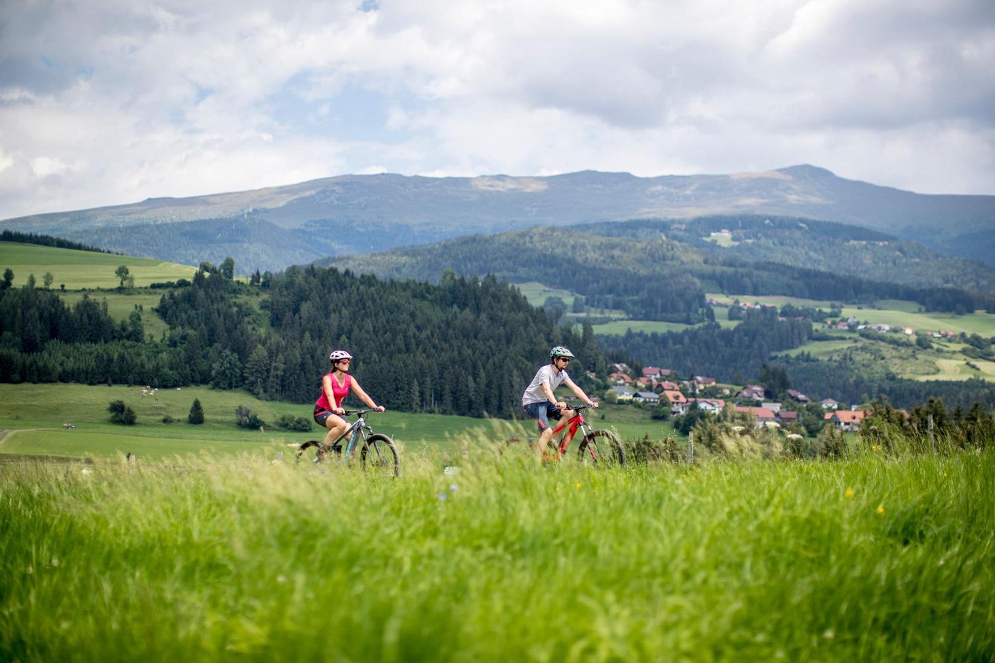 Feriendorf Murau By Alps Resorts Exterior foto